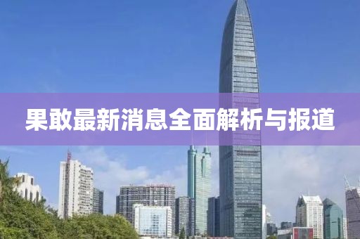 果敢最新消息全面解析與報(bào)道