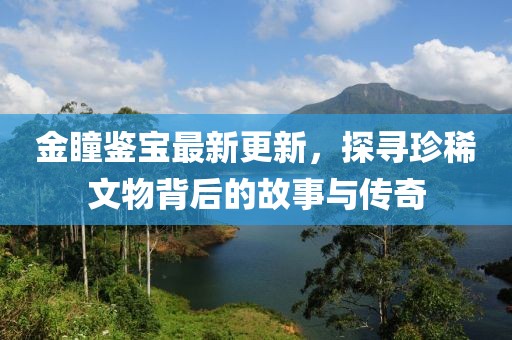 金瞳鑒寶最新更新，探尋珍稀文物背后的故事與傳奇