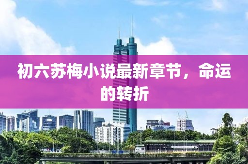 初六蘇梅小說最新章節(jié)，命運(yùn)的轉(zhuǎn)折