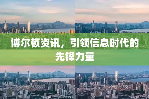 博爾頓資訊，引領(lǐng)信息時(shí)代的先鋒力量