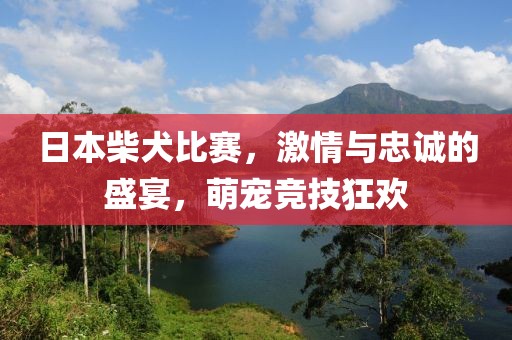 日本柴犬比賽，激情與忠誠的盛宴，萌寵競技狂歡