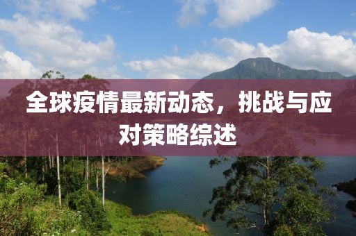 全球疫情最新動態(tài)，挑戰(zhàn)與應(yīng)對策略綜述