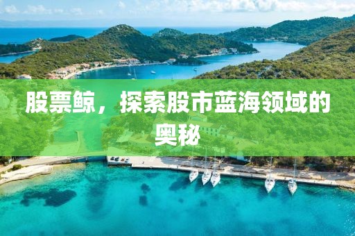 股票鯨，探索股市藍(lán)海領(lǐng)域的奧秘