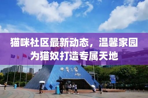 貓咪社區(qū)最新動(dòng)態(tài)，溫馨家園為貓奴打造專屬天地