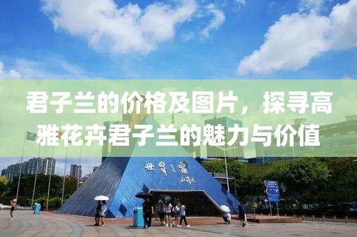2024年12月 第22頁