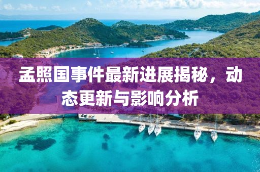 孟照國事件最新進(jìn)展揭秘，動態(tài)更新與影響分析