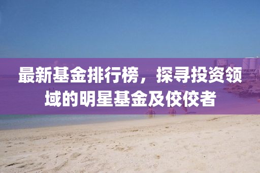 最新基金排行榜，探尋投資領(lǐng)域的明星基金及佼佼者