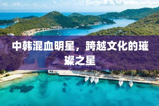 中韓混血明星，跨越文化的璀璨之星
