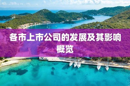 各市上市公司的發(fā)展及其影響概覽