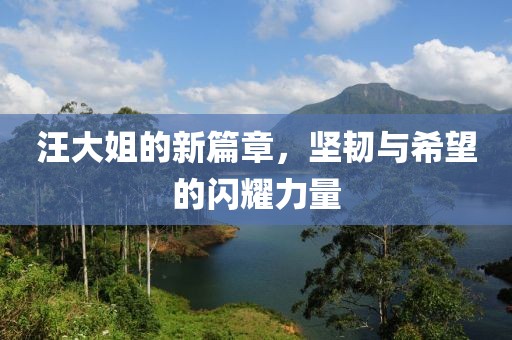 汪大姐的新篇章，堅(jiān)韌與希望的閃耀力量