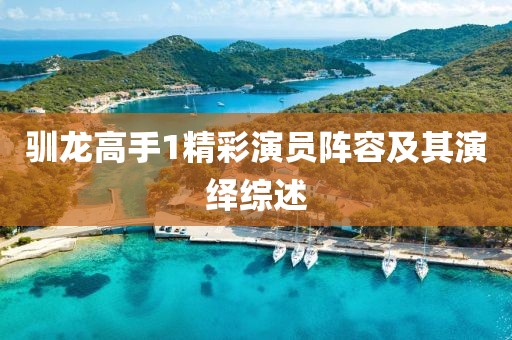 馴龍高手1精彩演員陣容及其演繹綜述