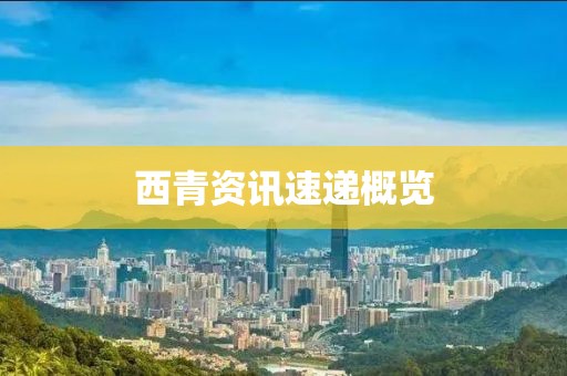 西青資訊速遞概覽