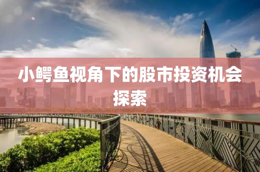 小鱷魚視角下的股市投資機(jī)會(huì)探索