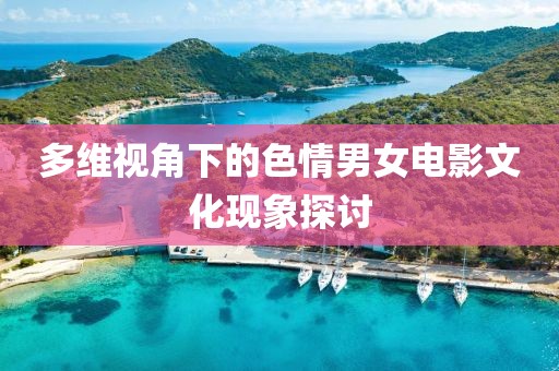 多維視角下的色情男女電影文化現(xiàn)象探討