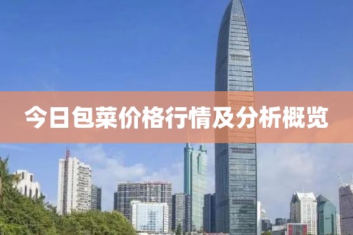 今日包菜價格行情及分析概覽