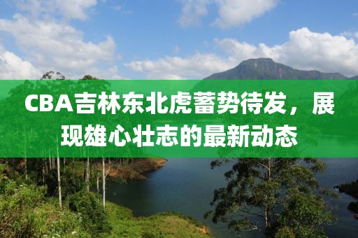 CBA吉林東北虎蓄勢待發(fā)，展現(xiàn)雄心壯志的最新動態(tài)