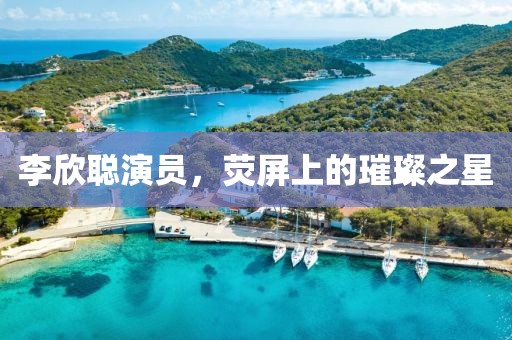 李欣聰演員，熒屏上的璀璨之星