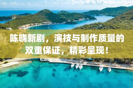 陳曉新劇，演技與制作質(zhì)量的雙重保證，精彩呈現(xiàn)！