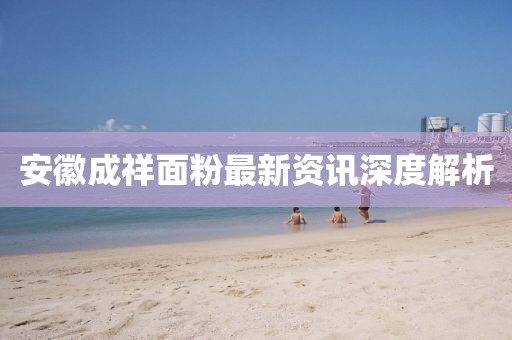 安徽成祥面粉最新資訊深度解析
