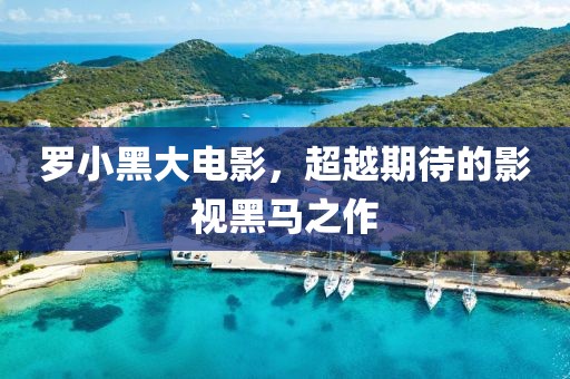 羅小黑大電影，超越期待的影視黑馬之作