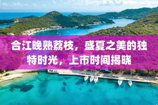 合江晚熟荔枝，盛夏之美的獨(dú)特時(shí)光，上市時(shí)間揭曉