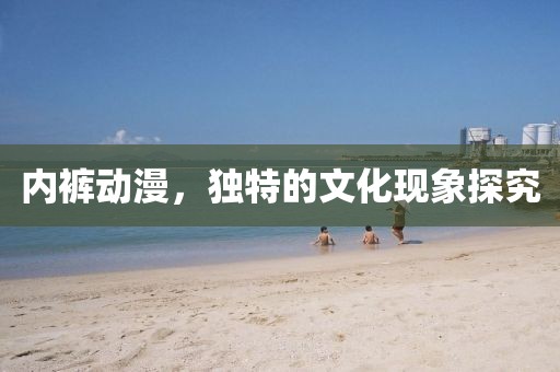 內(nèi)褲動(dòng)漫，獨(dú)特的文化現(xiàn)象探究