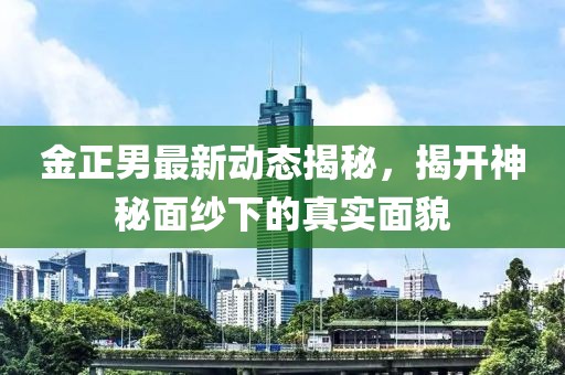 金正男最新動(dòng)態(tài)揭秘，揭開(kāi)神秘面紗下的真實(shí)面貌