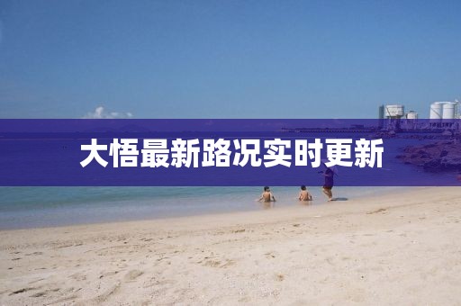 大悟最新路況實時更新