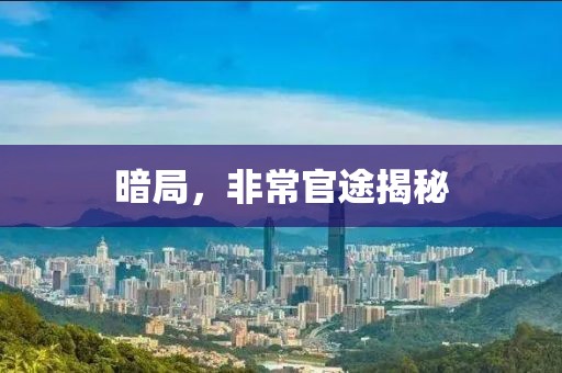 暗局，非常官途揭秘
