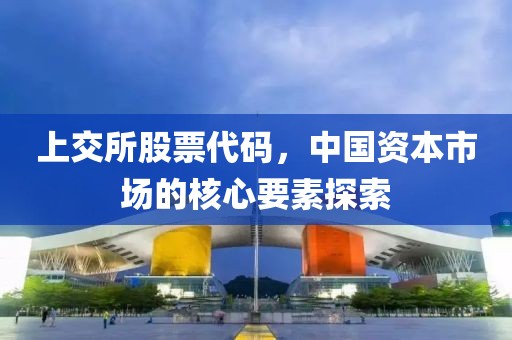 上交所股票代碼，中國(guó)資本市場(chǎng)的核心要素探索
