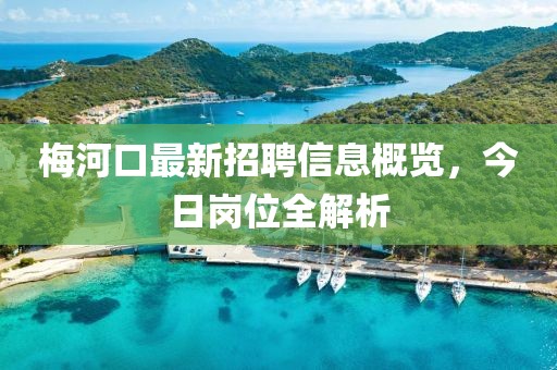 梅河口最新招聘信息概覽，今日崗位全解析