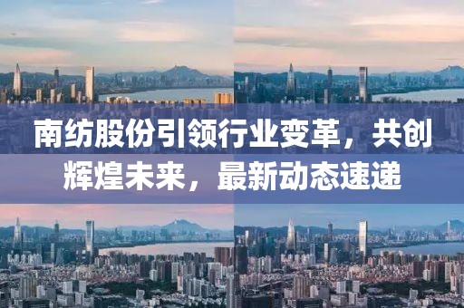 南紡股份引領(lǐng)行業(yè)變革，共創(chuàng)輝煌未來，最新動態(tài)速遞