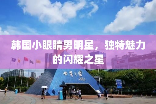 韓國小眼睛男明星，獨(dú)特魅力的閃耀之星