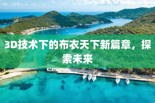 3D技術(shù)下的布衣天下新篇章，探索未來