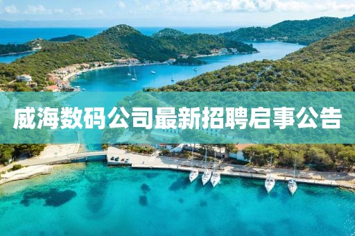 威海數(shù)碼公司最新招聘啟事公告