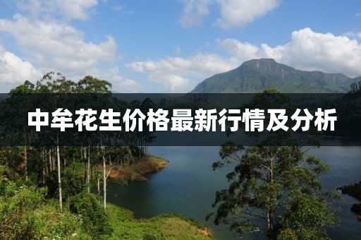 中牟花生價格最新行情及分析