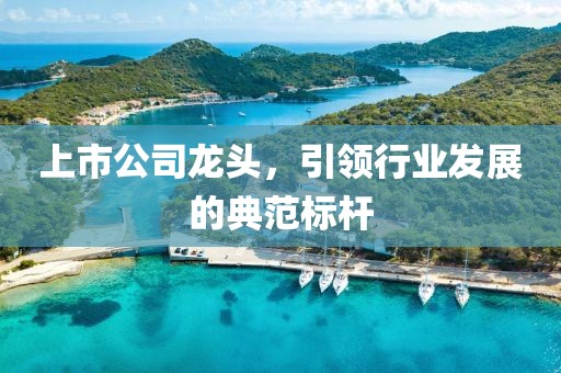 上市公司龍頭，引領(lǐng)行業(yè)發(fā)展的典范標(biāo)桿