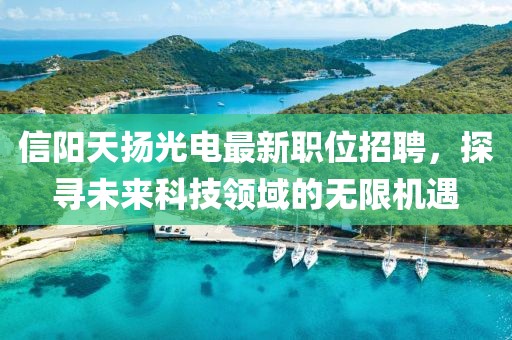 信陽天揚(yáng)光電最新職位招聘，探尋未來科技領(lǐng)域的無限機(jī)遇