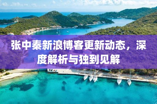 張中秦新浪博客更新動態(tài)，深度解析與獨到見解