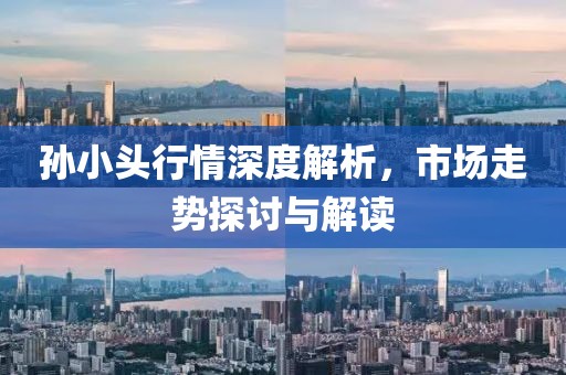 孫小頭行情深度解析，市場(chǎng)走勢(shì)探討與解讀