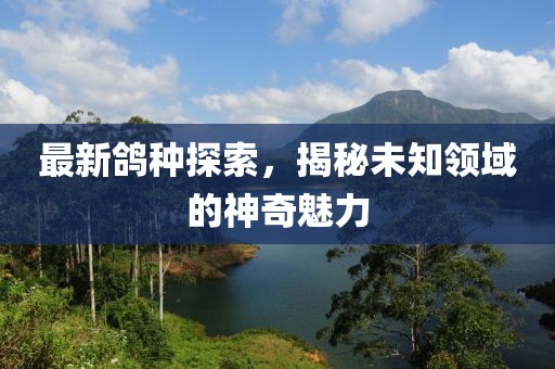 最新鴿種探索，揭秘未知領(lǐng)域的神奇魅力