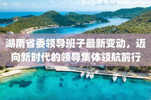 湖南省委領(lǐng)導(dǎo)班子最新變動(dòng)，邁向新時(shí)代的領(lǐng)導(dǎo)集體領(lǐng)航前行
