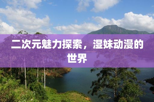 二次元魅力探索，濕妹動(dòng)漫的世界