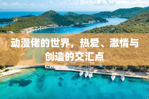 動(dòng)漫佬的世界，熱愛(ài)、激情與創(chuàng)造的交匯點(diǎn)