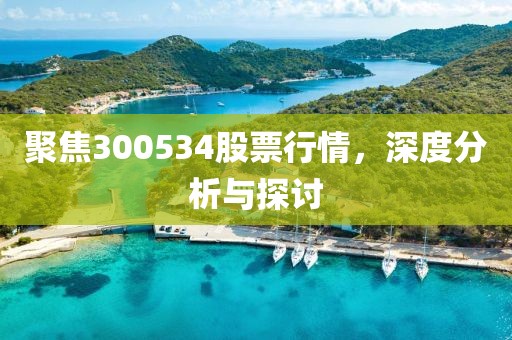 聚焦300534股票行情，深度分析與探討