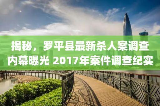 揭秘，羅平縣最新殺人案調(diào)查內(nèi)幕曝光 2017年案件調(diào)查紀(jì)實(shí)