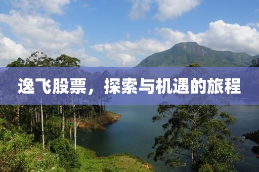 逸飛股票，探索與機(jī)遇的旅程