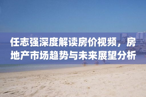 任志強深度解讀房價視頻，房地產(chǎn)市場趨勢與未來展望分析