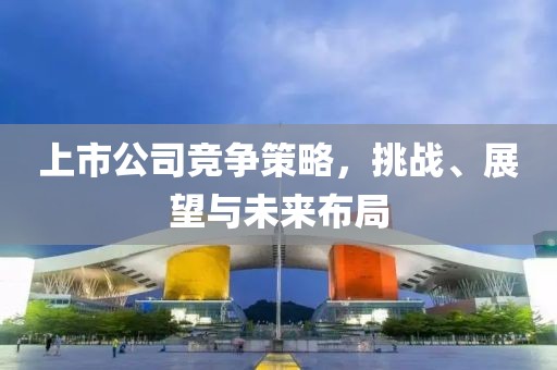 上市公司競爭策略，挑戰(zhàn)、展望與未來布局