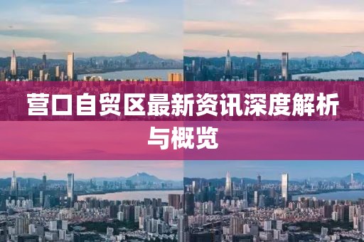 營口自貿(mào)區(qū)最新資訊深度解析與概覽